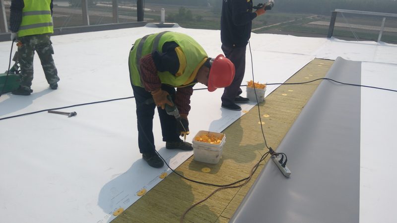 屋面防水：油性涂料与水性涂料的较量**